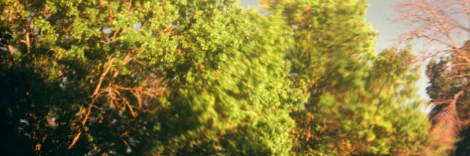 ethanevanssucks's profile banner image