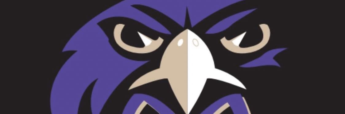 MTHS Baseball banner