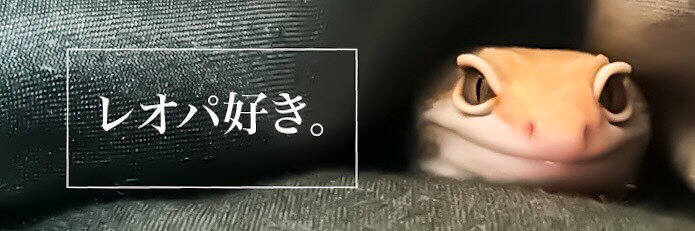148Nd's profile banner image