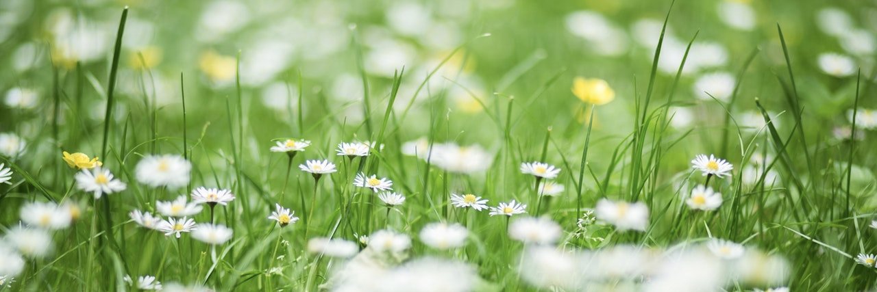 Love Your Plot banner