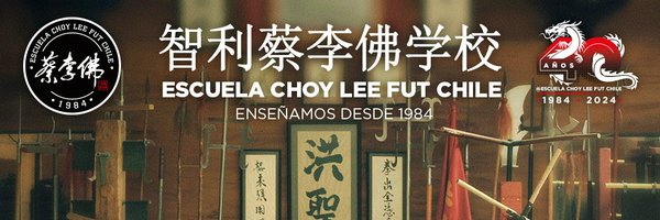 Escuela Choy Lee Fut Chile Profile Banner