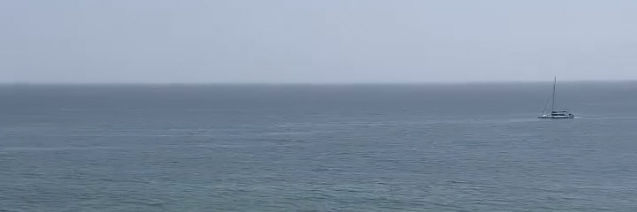 D.K.B banner
