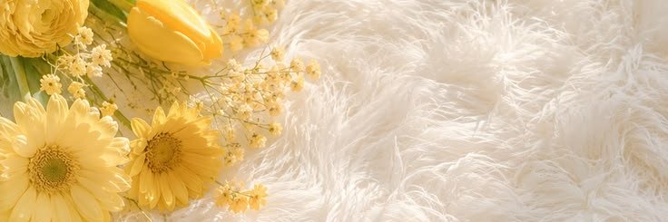 bhejay027's profile banner image