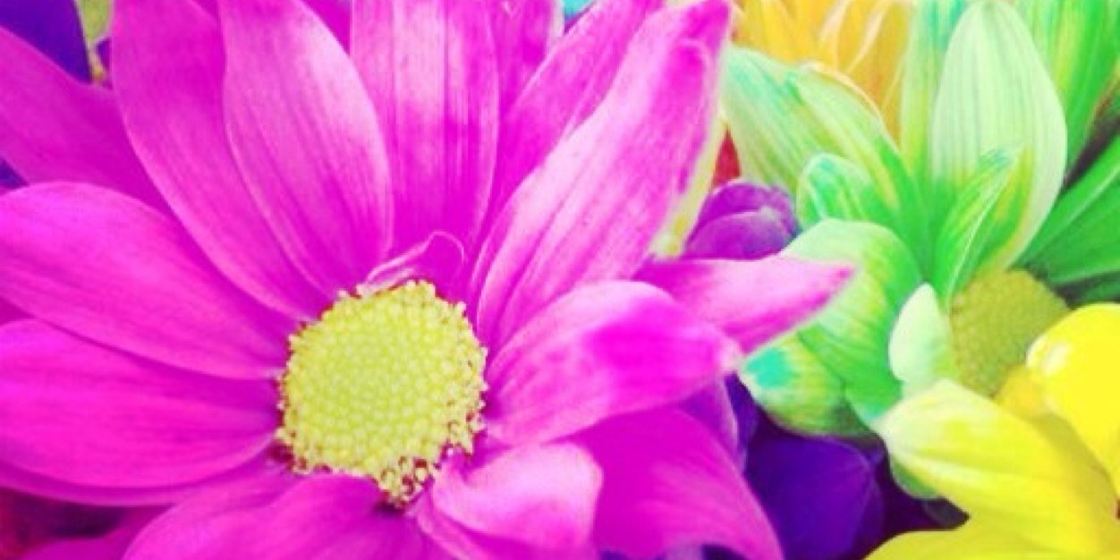 NathalyPozo's profile banner image