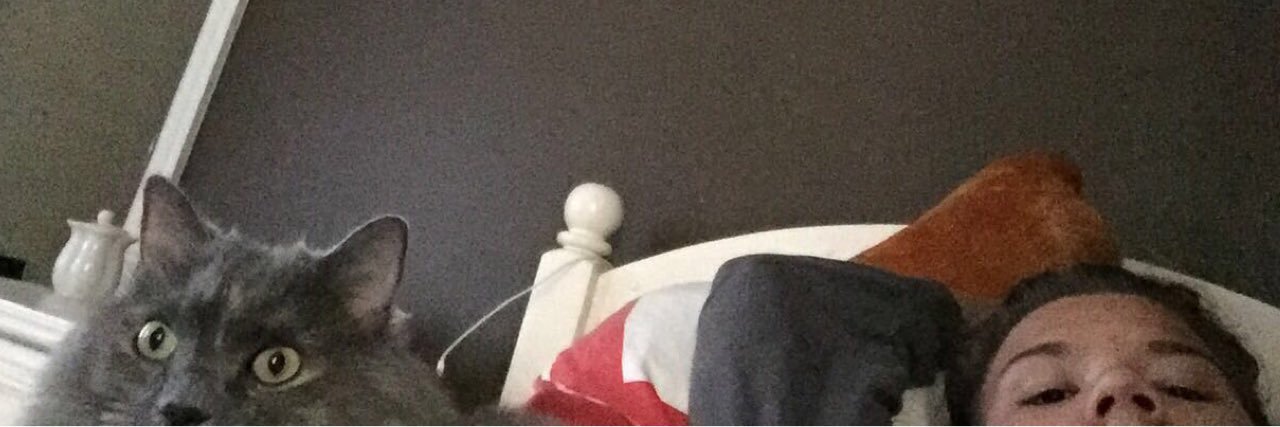 _bigkat's profile banner image