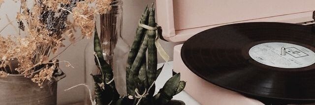 ecemmdenizz's profile banner image