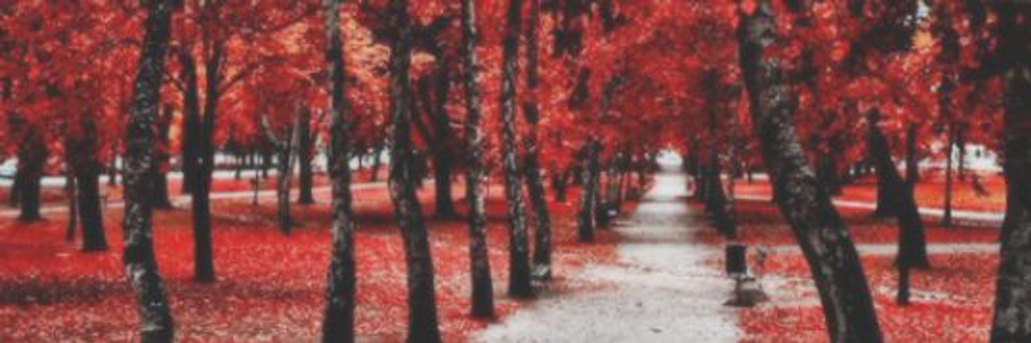 AustinNorthFake's profile banner image