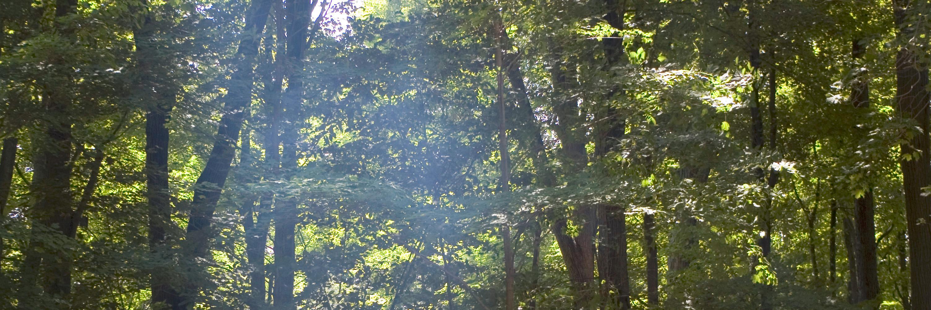 KamprathG's profile banner image