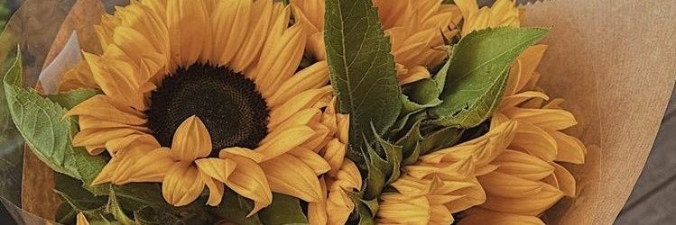 Lugaleraa's profile banner image