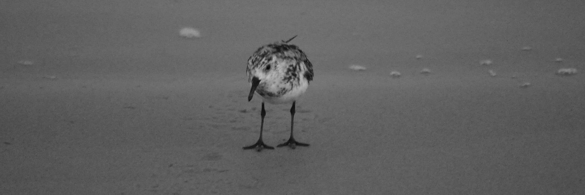 OuterBanksChris's profile banner image