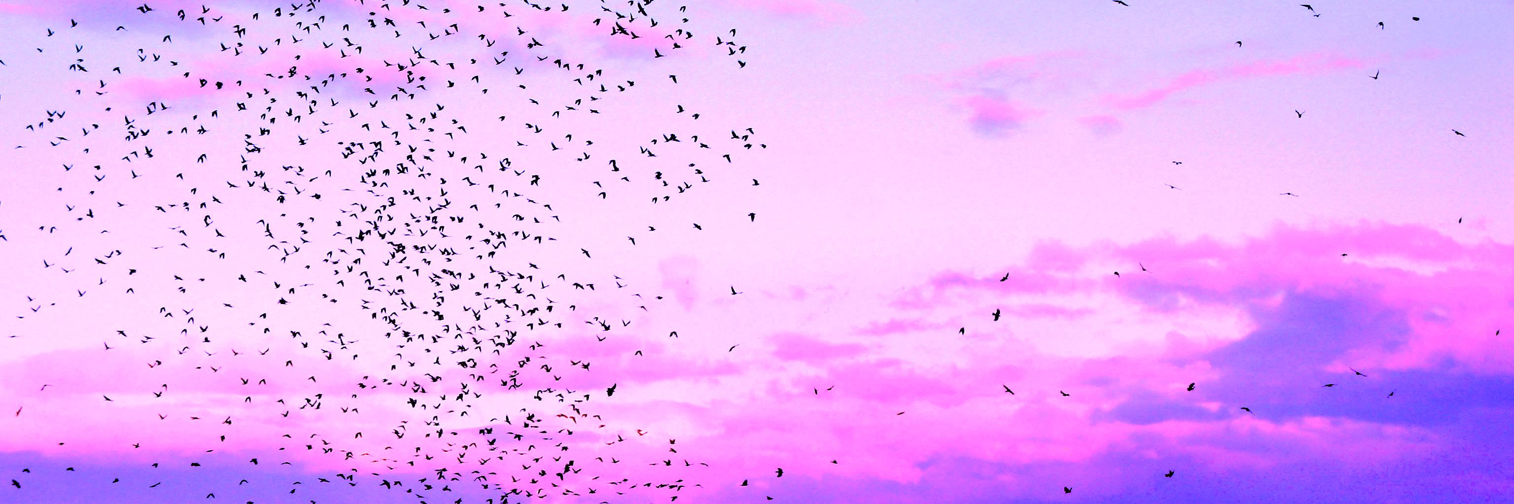 AnnaMora_es's profile banner image