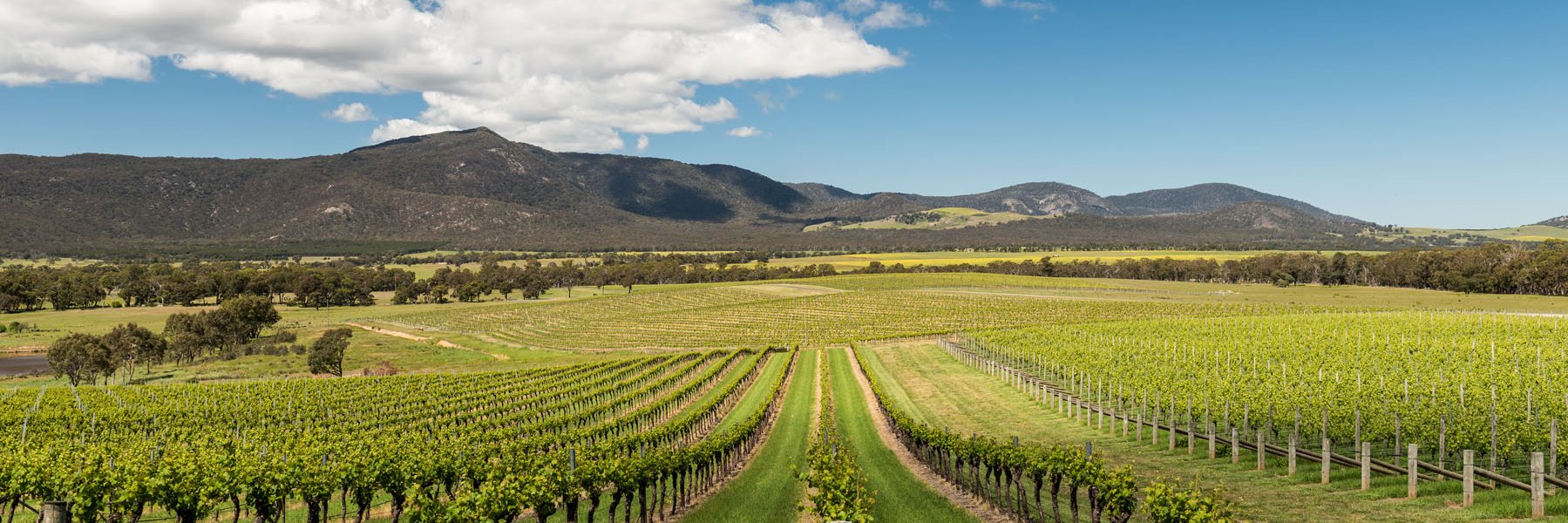 visitgrampians's profile banner image