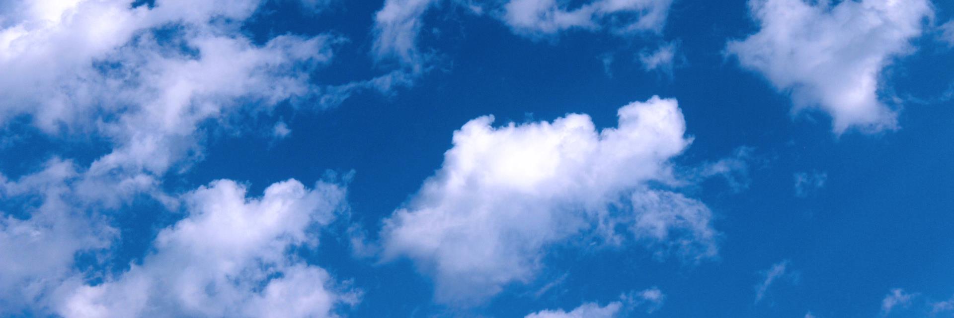 Martin Warren banner