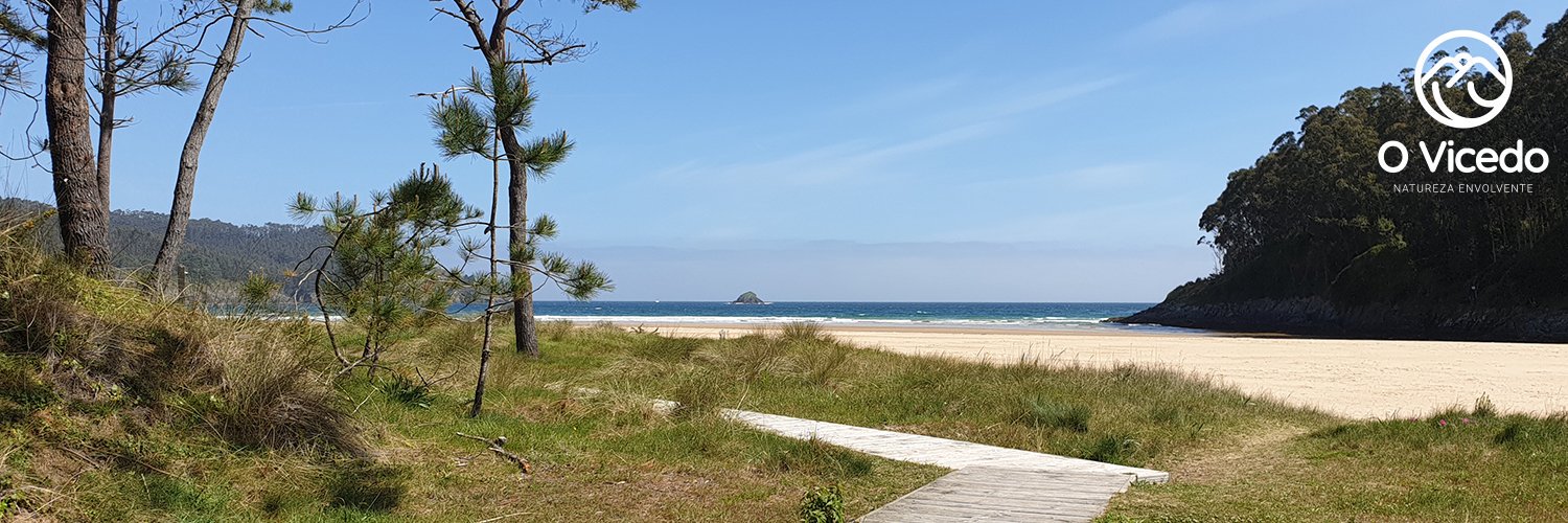 TurismoVicedo's profile banner image