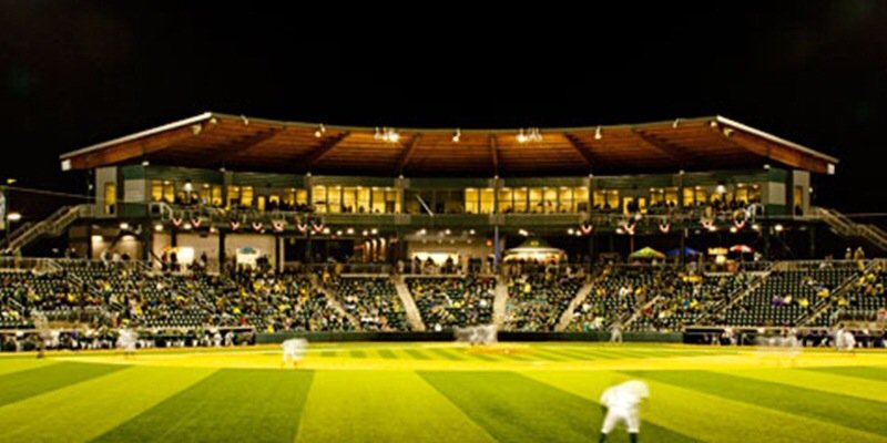 David Peterson banner