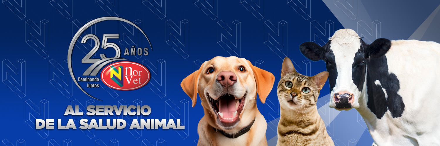LabNorvetMX's profile banner image