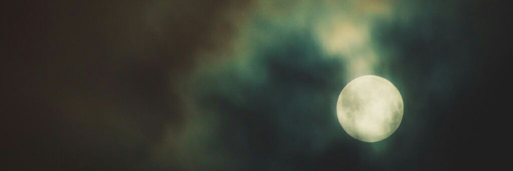 Rochelle Ibarra banner