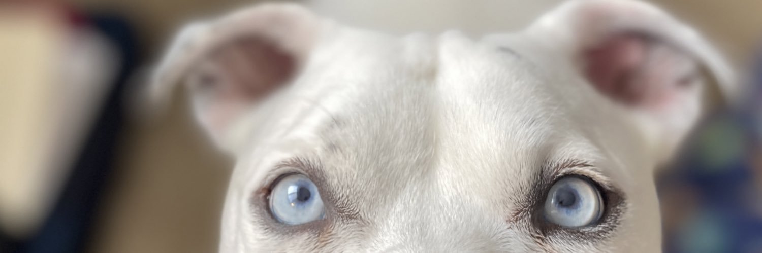 menoskymj's profile banner image