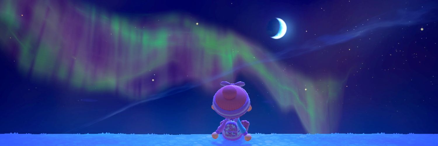 PinkAuroraLove's profile banner image
