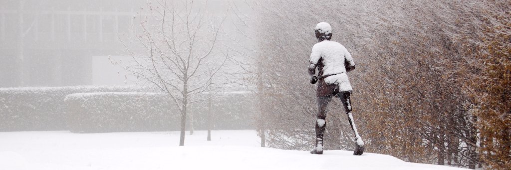 Terry Fox Awards banner