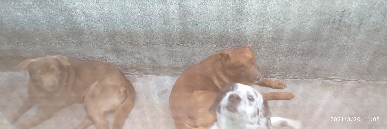 Im4hurrican3's profile banner image