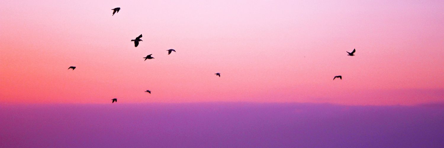 andreanavas85's profile banner image