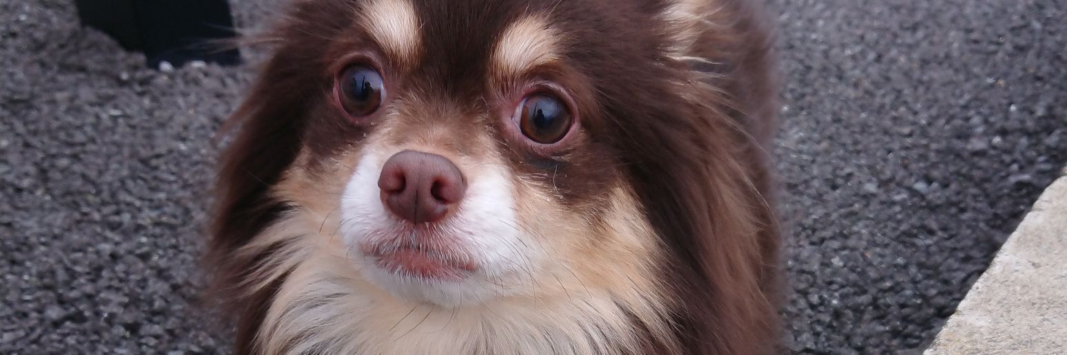 mi0w2d2's profile banner image