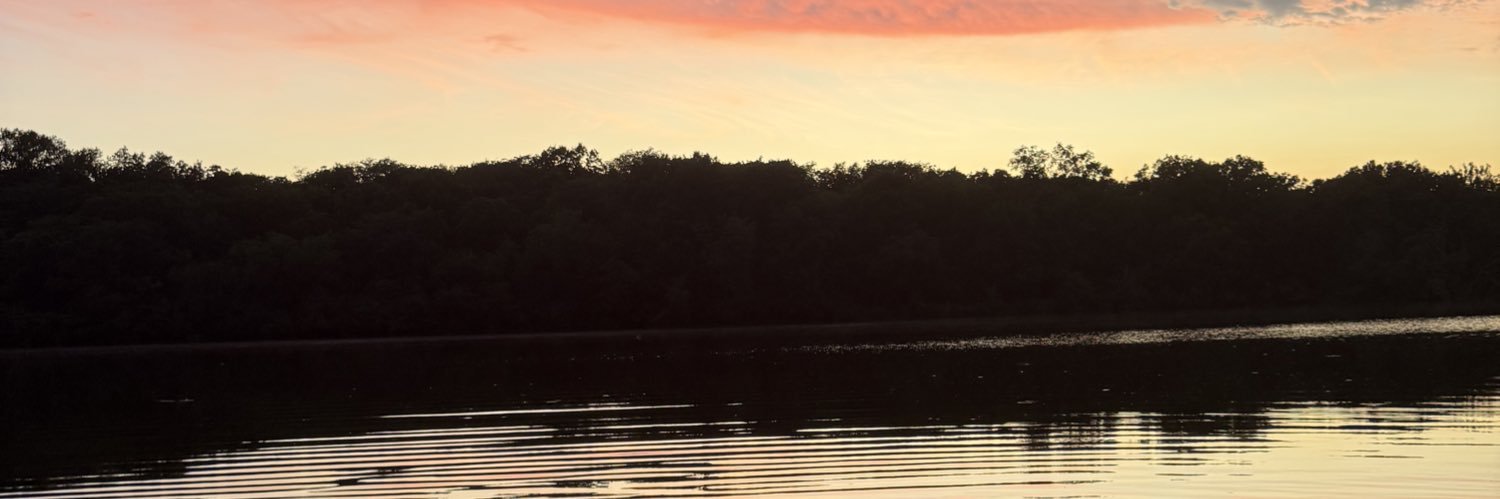 ChrissyPatz's profile banner image
