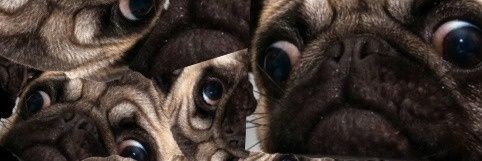 Randomgirl122's profile banner image