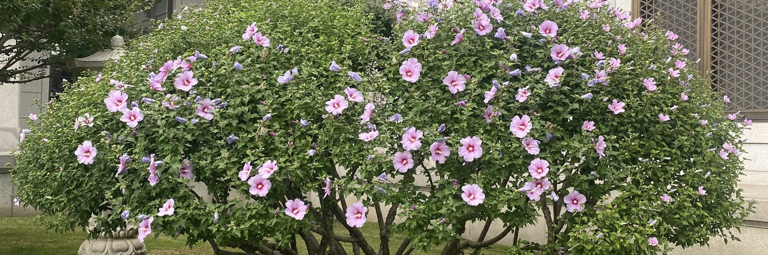annlee11's profile banner image