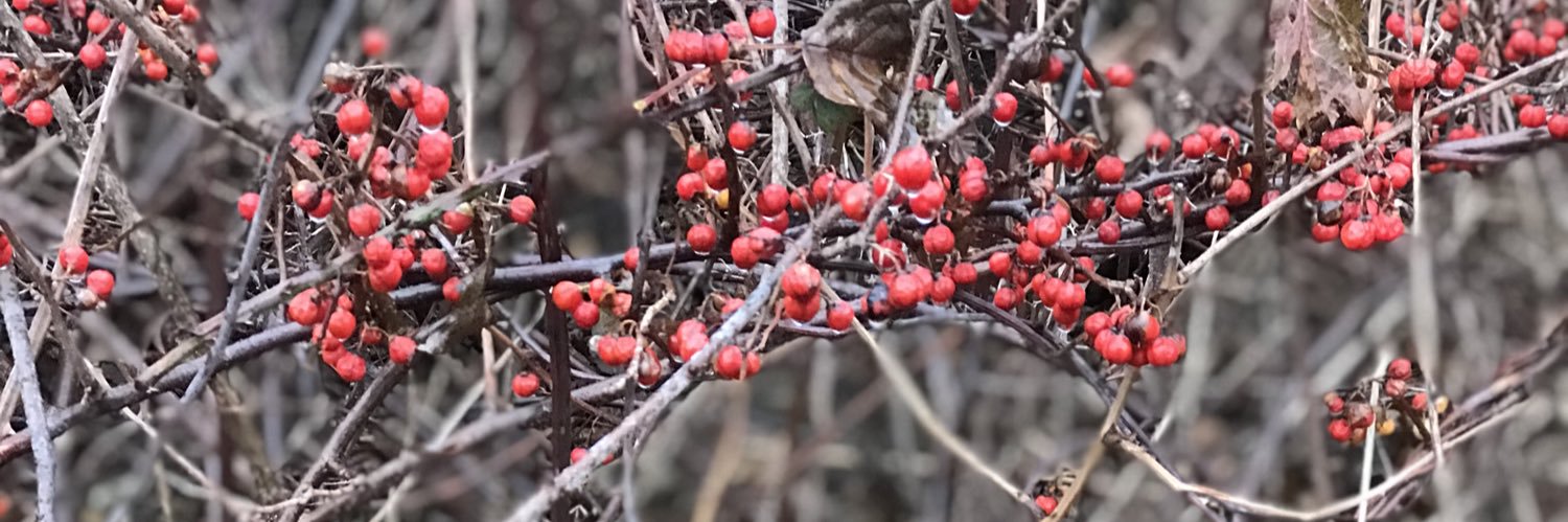 jeninbend's profile banner image
