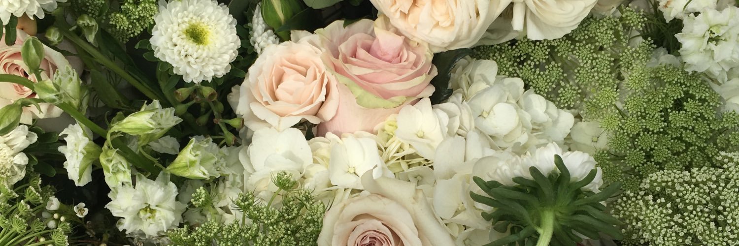 jansuonen's profile banner image