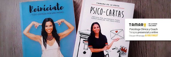 tamarareinventa Profile Banner
