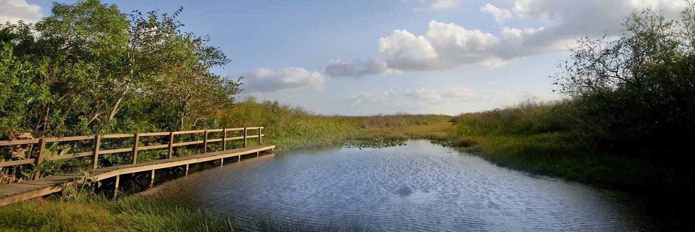 Kitson & Partners banner