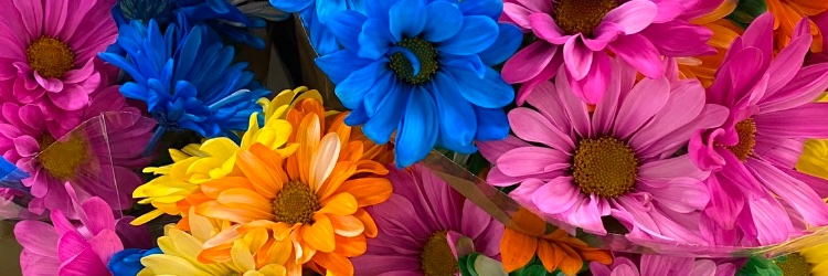 missknjoki's profile banner image