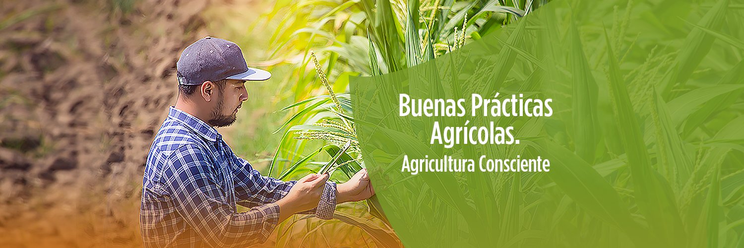 AgroConsciente's profile banner image