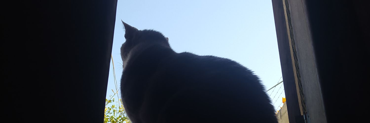 ibreead's profile banner image