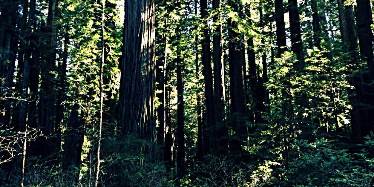 IsaacMeline's profile banner image