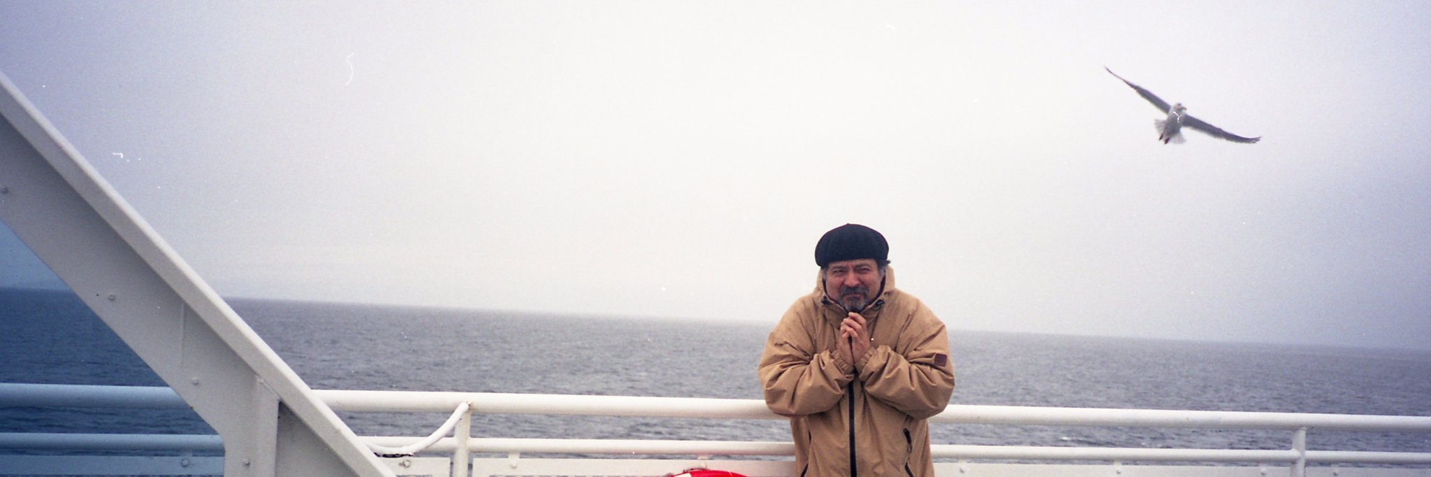 Marcela 🇵🇸 banner