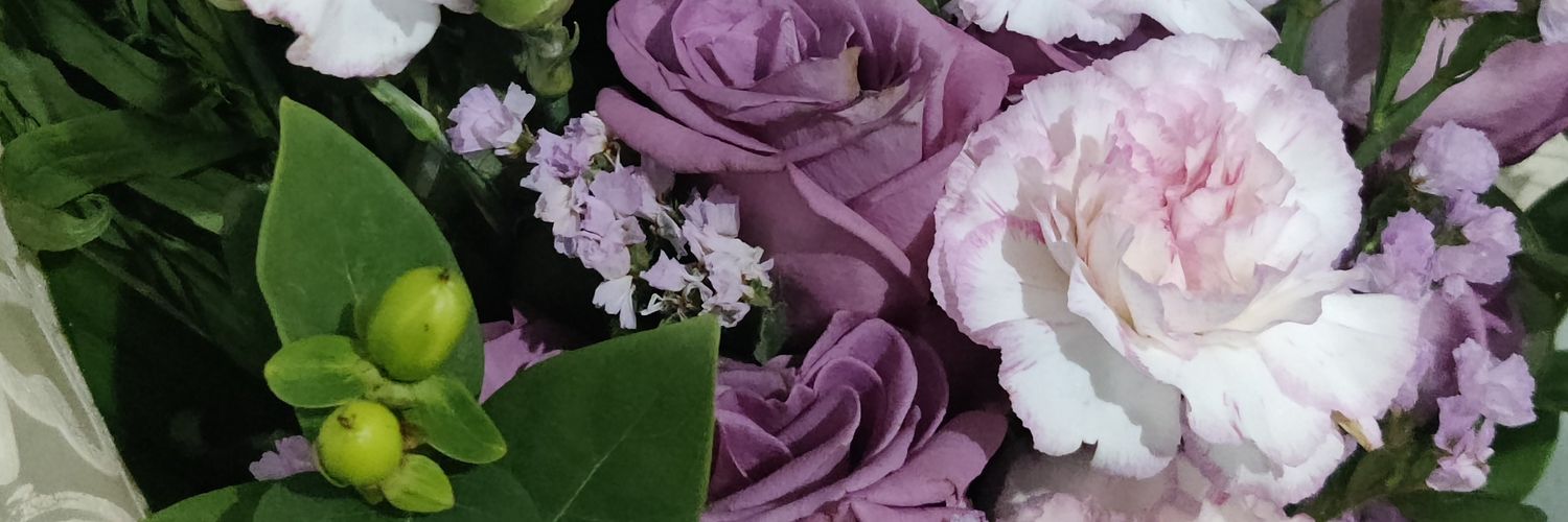 amaliasilva98's profile banner image