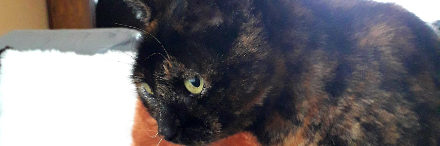 Hanny Schipper banner