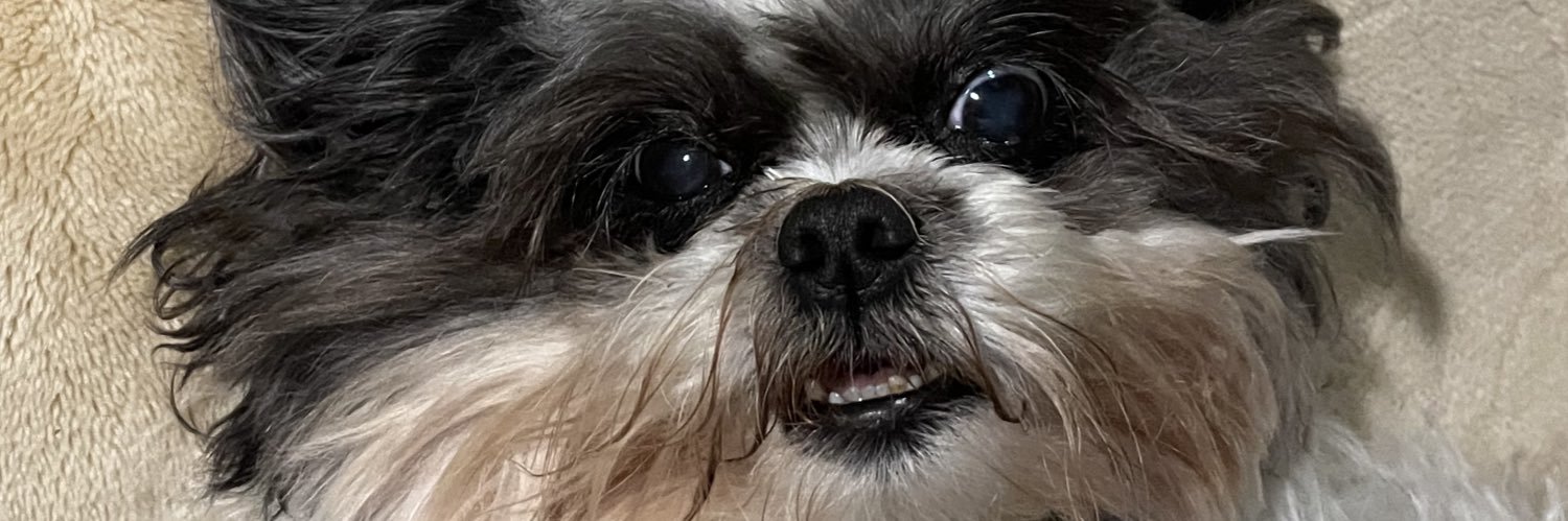 isacarlucci's profile banner image