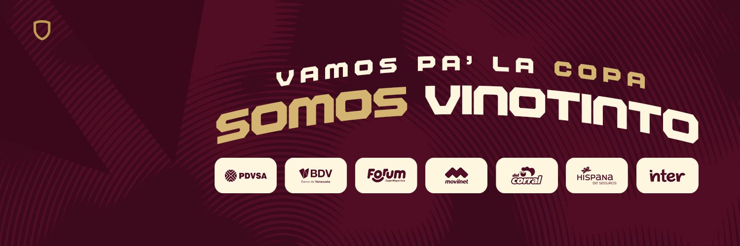 La Vinotinto's banner
