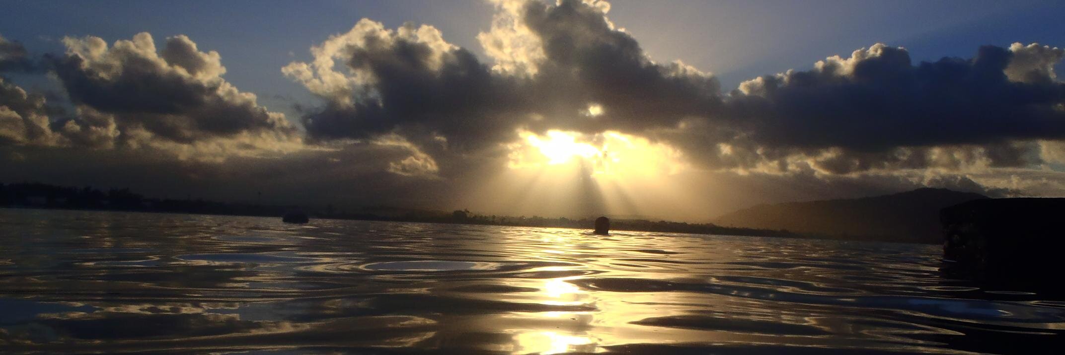 François Baguette banner