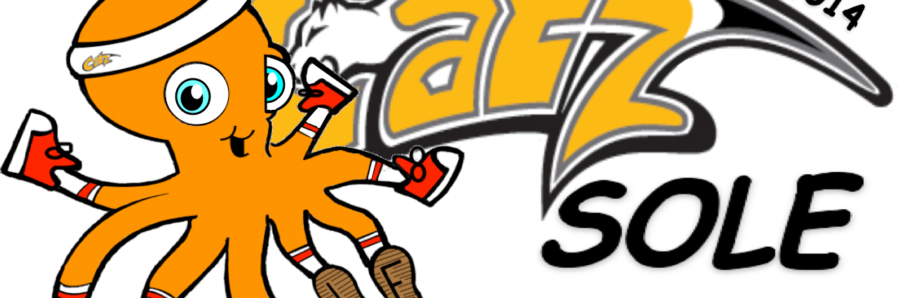 CatzSOLE's profile banner image