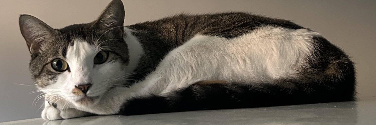 ahazzabey's profile banner image