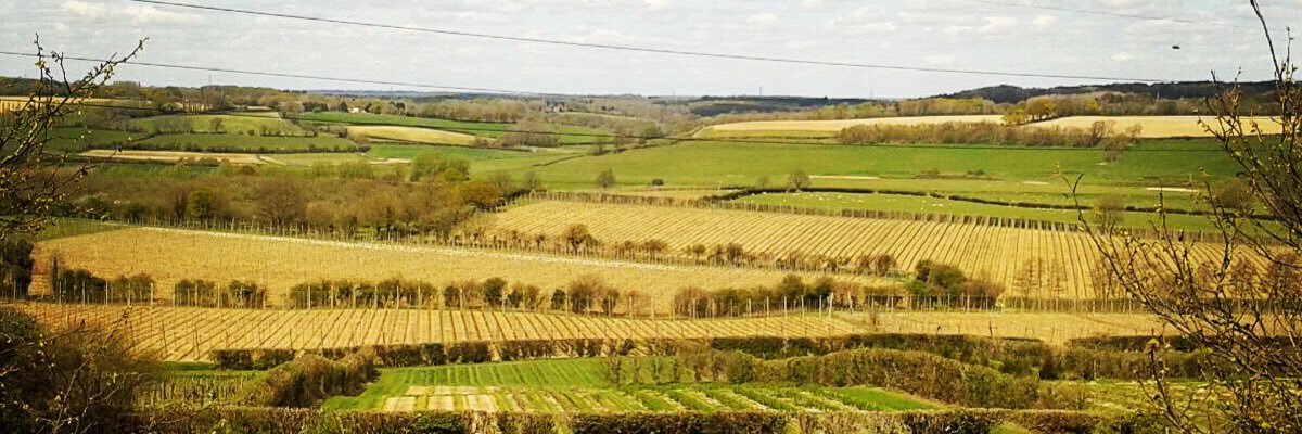 The Three Legs Brewing Company banner