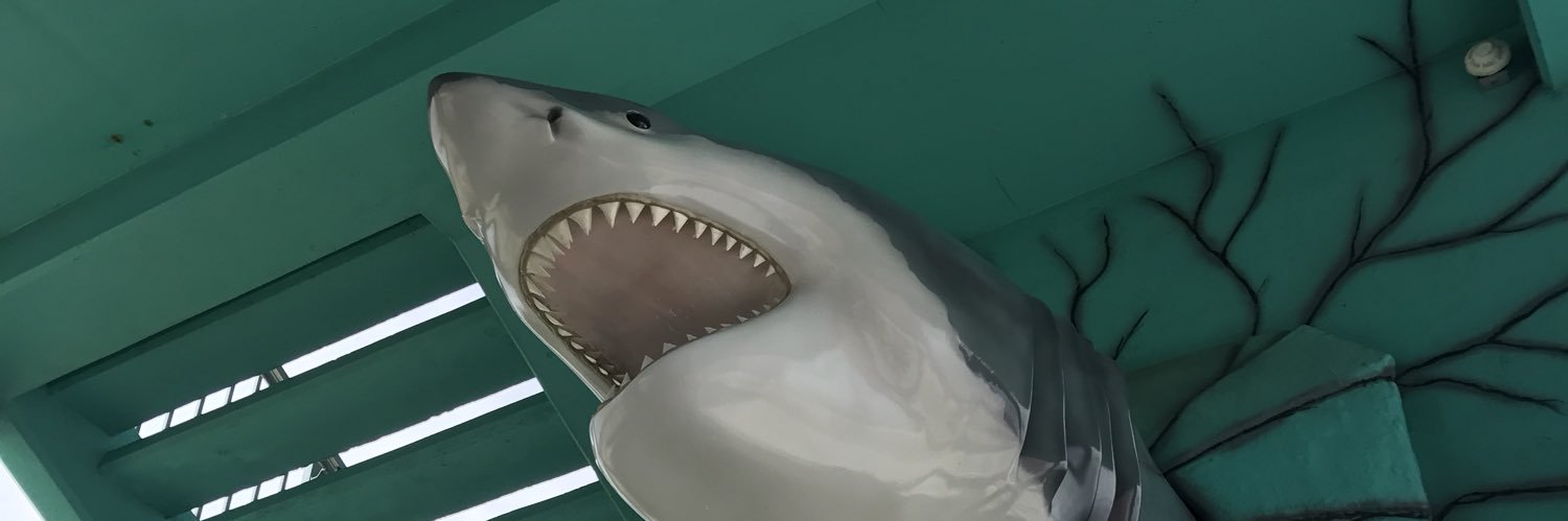 benjamin boykin banner
