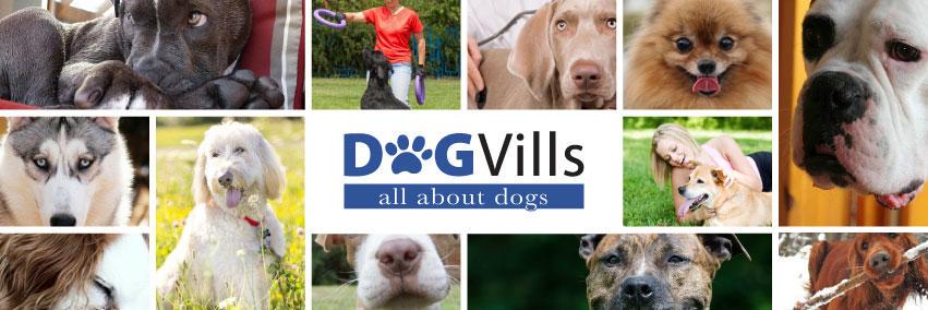 DogVills banner