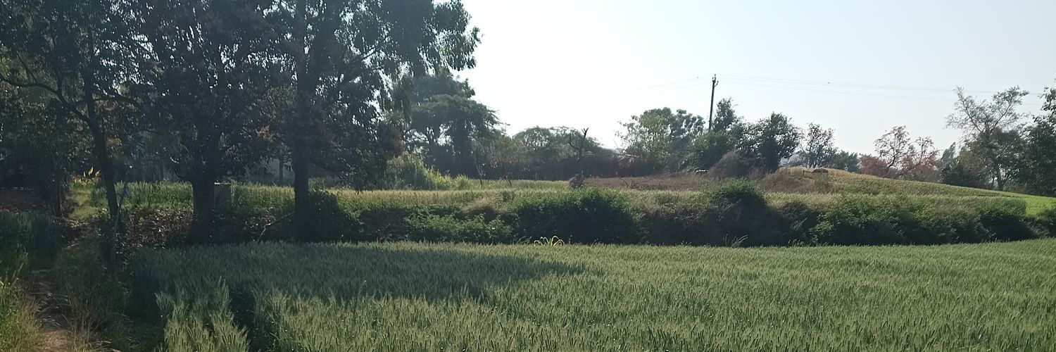 Parthdamor33's profile banner image